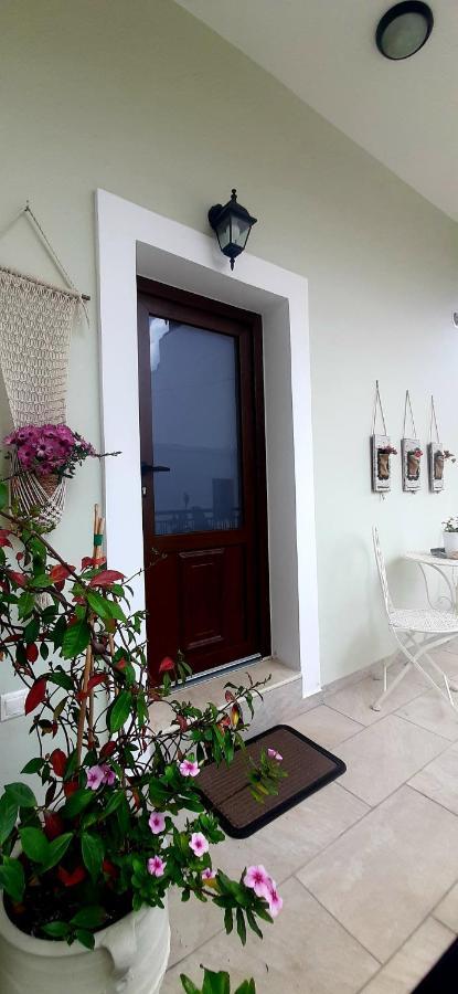 Polidoros House Daire Palekastro Dış mekan fotoğraf